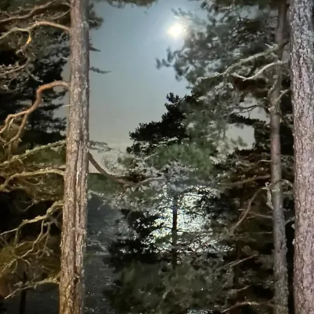 Ylellinen Hirsihuvila Sarkisalo