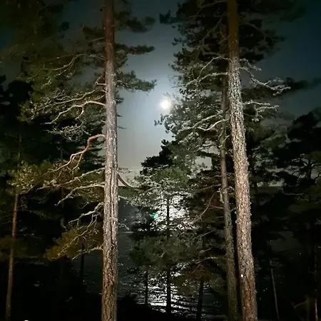 Ylellinen Hirsihuvila * Sarkisalo
